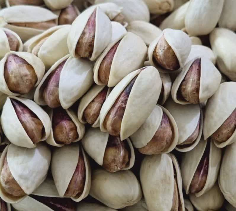 قیمت پسته درشت اکبری امساله